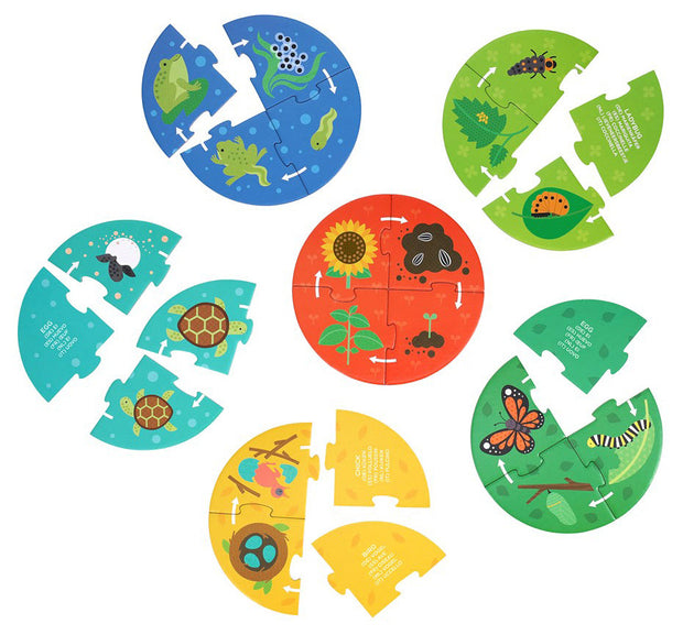 Educatieve ontdekpuzzel over levenscycli, Petit Collage