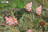 3D bouwpuzzel, EUGY, in gebruik