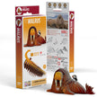 3D bouwmodel, EUGY, verpakking