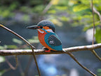 3D bouwpuzzel, EUGY, in gebruik