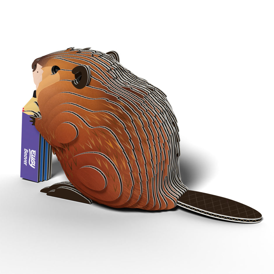 3D bouwmodel, EUGY, detailfoto