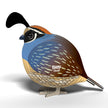 3D bouwmodel, EUGY, detailfoto